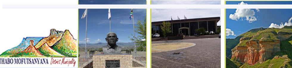 Local Municipality Statistics South Africa